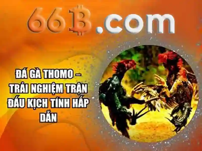 Chien thuat soi cau lo de bat bai tai nha cai 66b