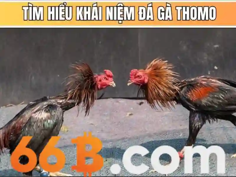 Các sảnh game casino trực tuyến hấp dẫn tại nhà cái 66b