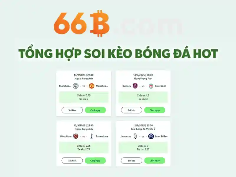 Giao diện sảnh cá cược thể thao 66b hiện đại và sôi động